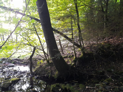 20250907_074130.jpg