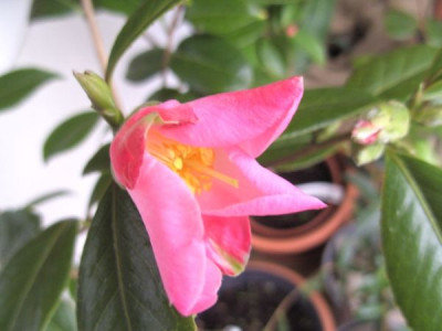 BILD7468.JPG