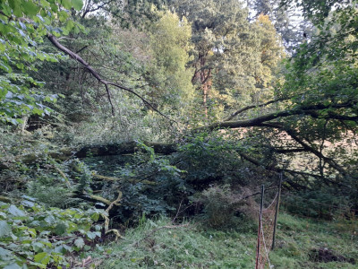 20250907_073929.jpg