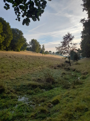 20250907_074401.jpg
