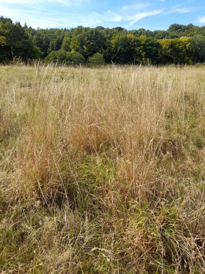 20250907_131835.jpg