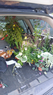 IMG-20250906-WA0015.jpeg