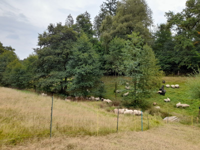 20250909_145218.jpg