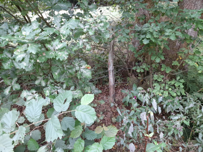 20250909_141049.jpg