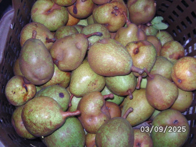 BILD1009.JPG