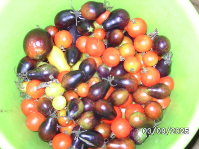 BILD1008.JPG