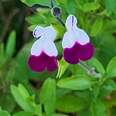 20250909_190613.jpg