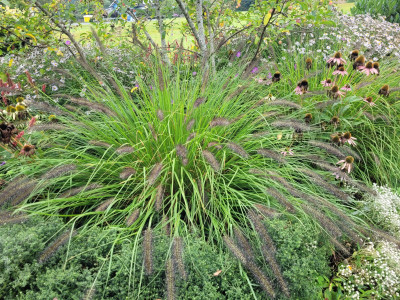 20250910_115345.jpg