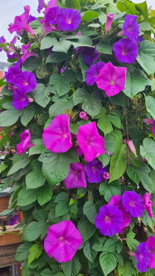 20250911_080443.jpg