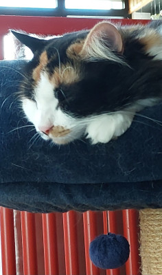 Anstrengend diese Ausflüge.