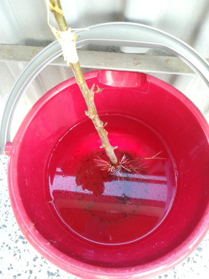 IMG-20250806-WA0004.jpeg