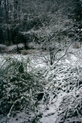 Schnee_November.JPG