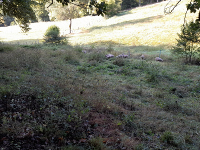 20250914_103612.jpg
