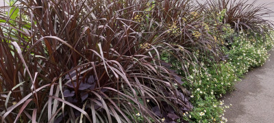 20250905_175120.jpg