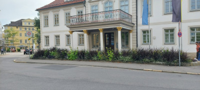 20250905_175447.jpg