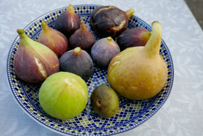 Feigenmix-Schale-kl.jpg