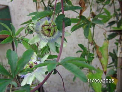 BILD1038.JPG