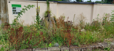 20250903_091319.jpg