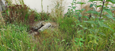 20250903_091327.jpg