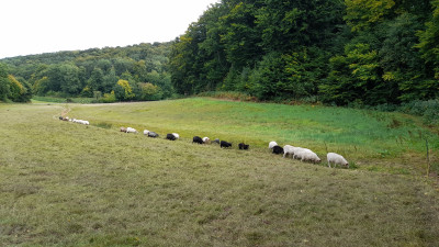 IMG-20250916-WA0009.jpeg
