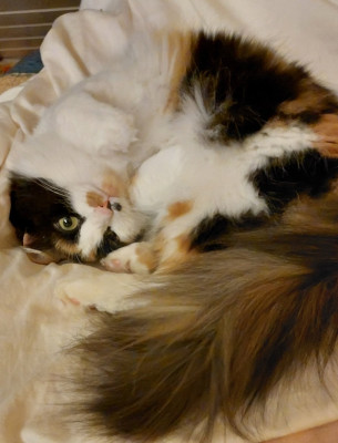 Eure Polly.
