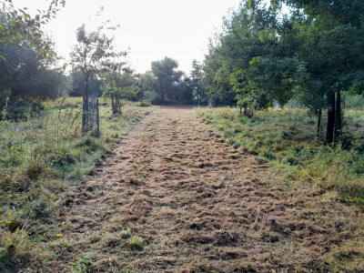 20250912_080638.jpg