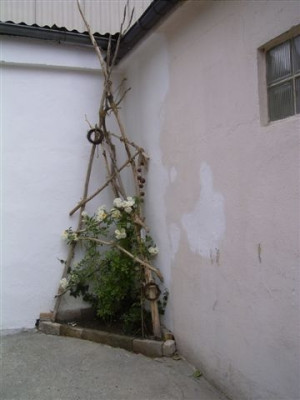 28.05.09_001.JPG