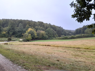 20250916_180600.jpg