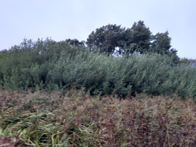 20250918_074702.jpg