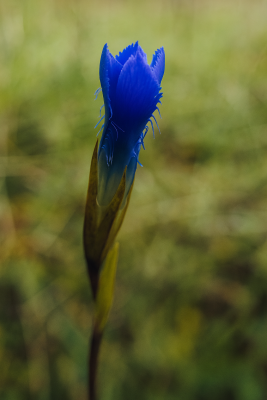 IMG_2157.png