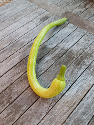 20250918_174026.jpg