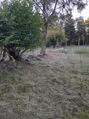 20250918_164042.jpg