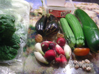 BILD1061.JPG