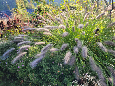 20250920_091800.jpg