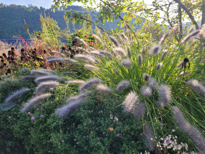 20250920_091752.jpg