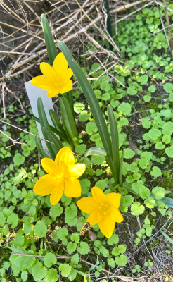 IMG_5942.jpeg