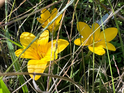IMG_5943.jpeg