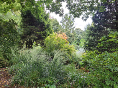 20250921_124420.jpg