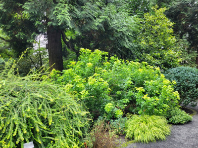 20250921_130620.jpg
