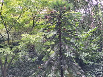 20250921_134857.jpg