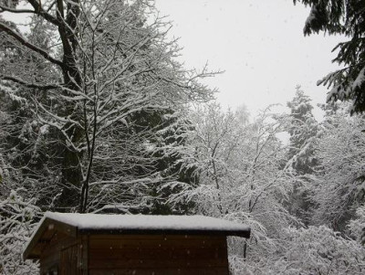 22.November_2008_037kl.18_Schnee_Garten.JPG