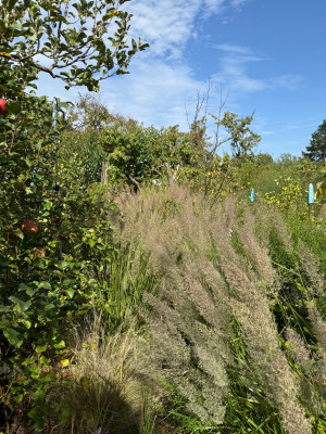 IMG_4048.jpeg