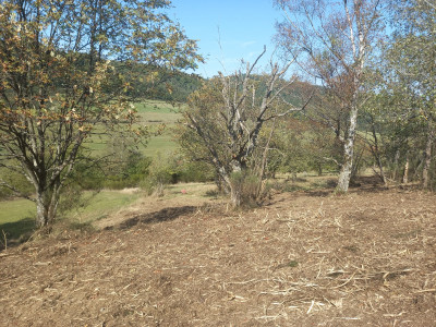 20250920_132949.jpg