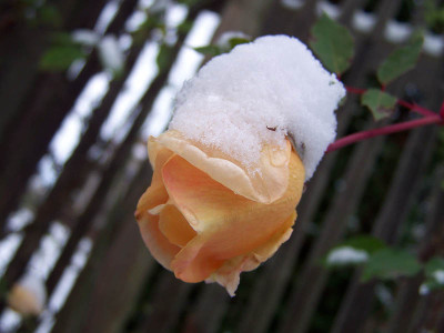 000_0080_ed800.jpg