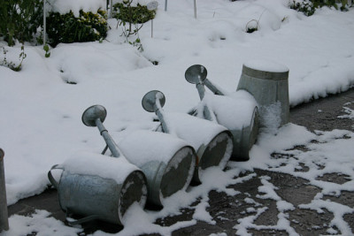 Winter0308.jpg