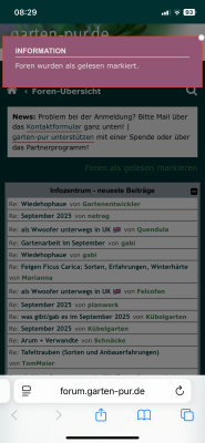 IMG_3124.png
