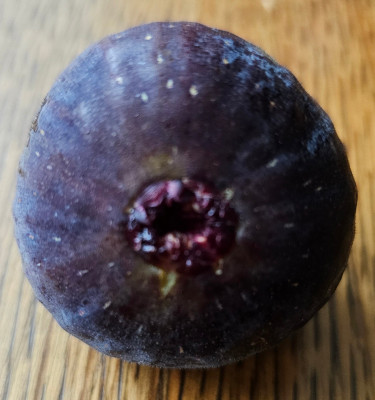 Rossi di Trani Hortensis aussen2.jpg