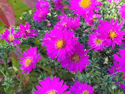 20250923_104340.jpg