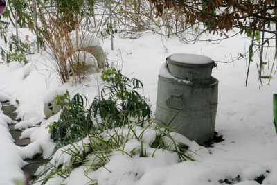 Winter1408.jpg