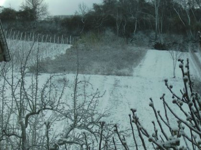 Morgenschnee.jpg